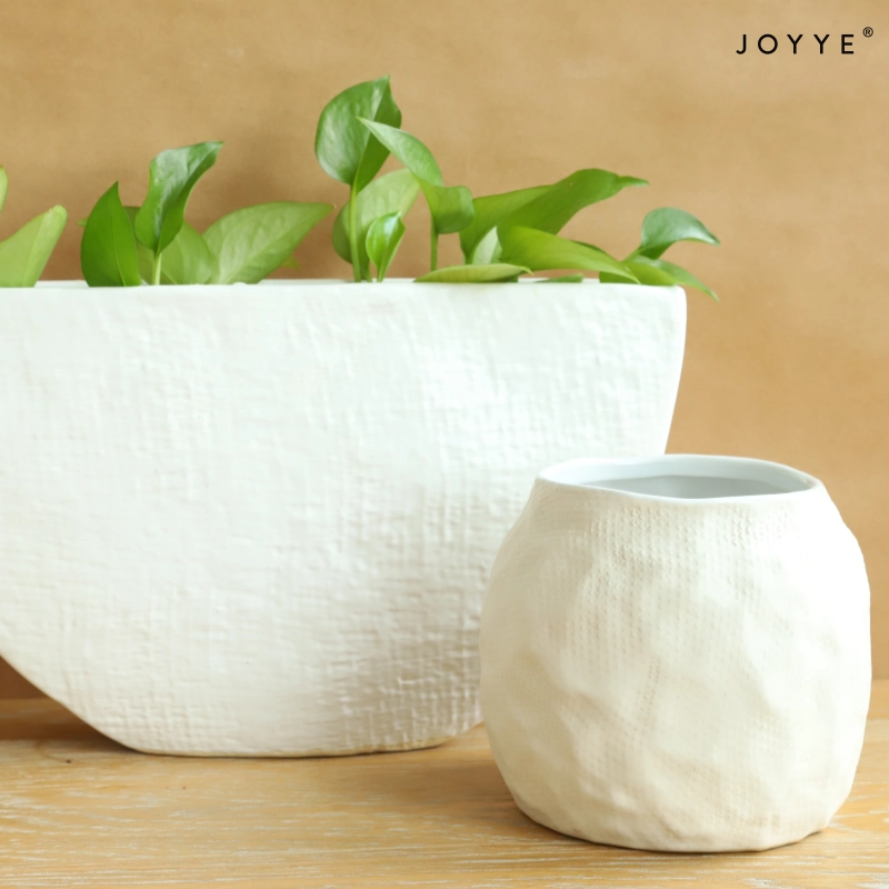 Organic White Glaze Vase and Planter